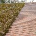 How Roof Cleaning Improves Curb Appeal