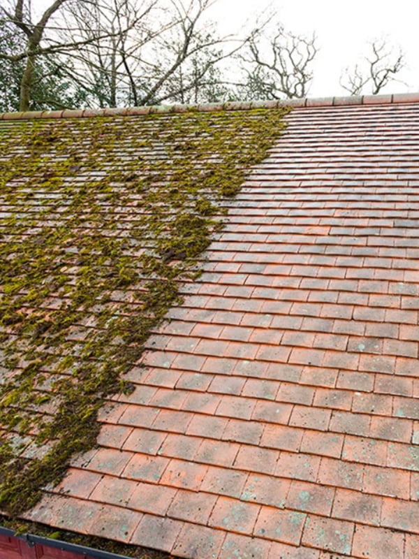 How Roof Cleaning Improves Curb Appeal